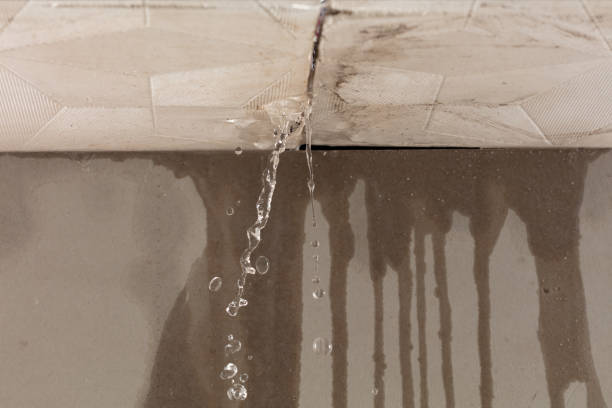 Professional Structural Drying technician working in Greenport, NY
